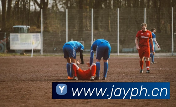 九游体育app官网下载平台发展历程